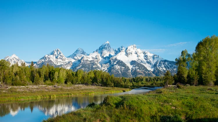 grand-teton-mountains-behind-river-and-trees-in-morning